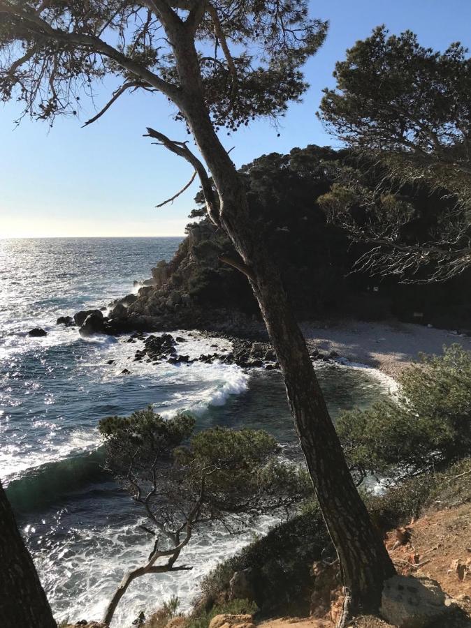 Villa Lucienne Bandol , T2 4 Etoiles Avec Garage, Dans Les Calanques Exteriör bild