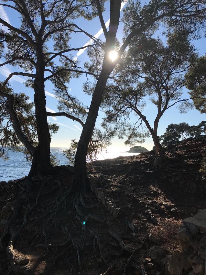 Villa Lucienne Bandol , T2 4 Etoiles Avec Garage, Dans Les Calanques Exteriör bild
